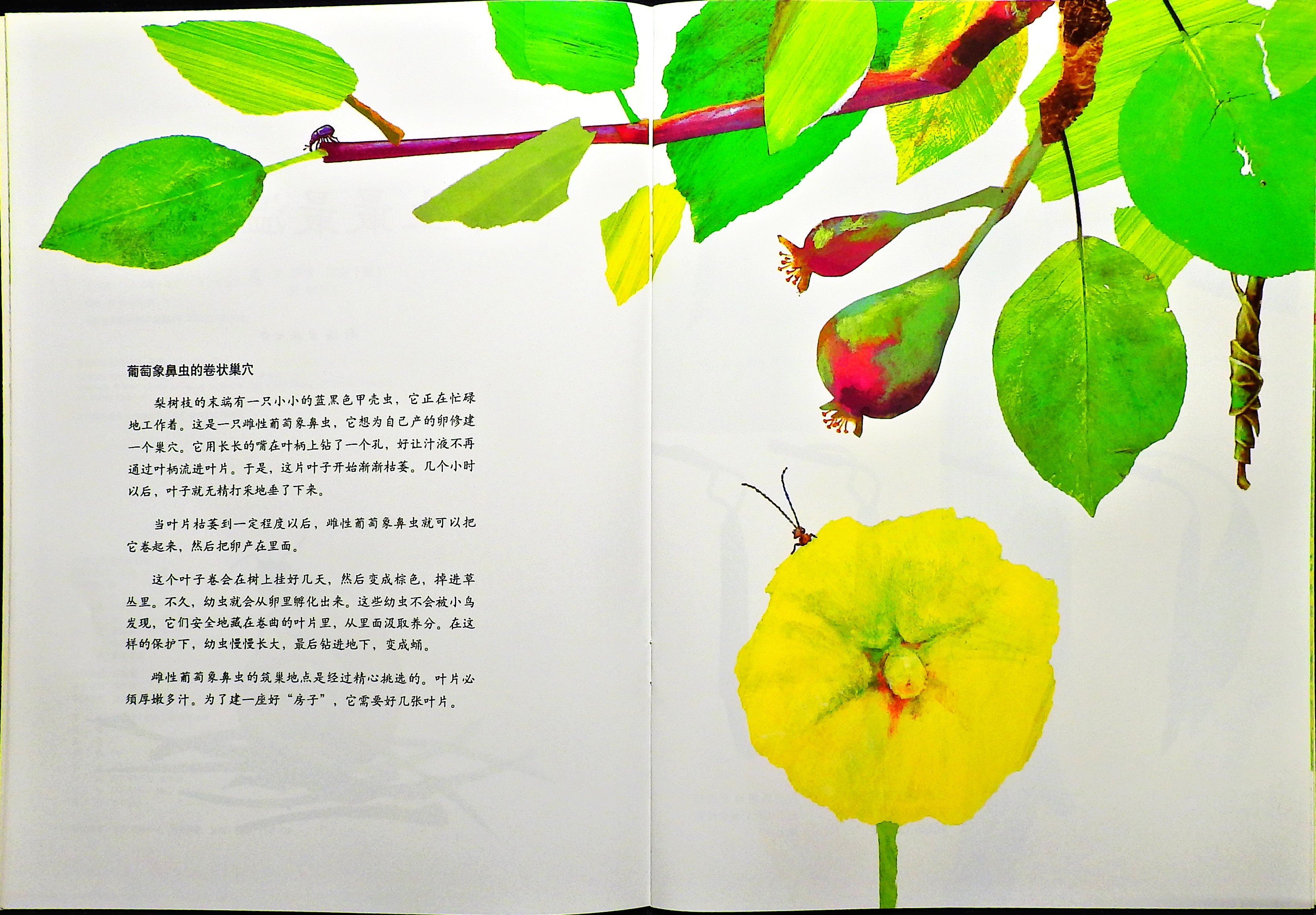 世界上最最温馨的家 (04),绘本,绘本故事,绘本阅读,故事书,童书,图画书,课外阅读